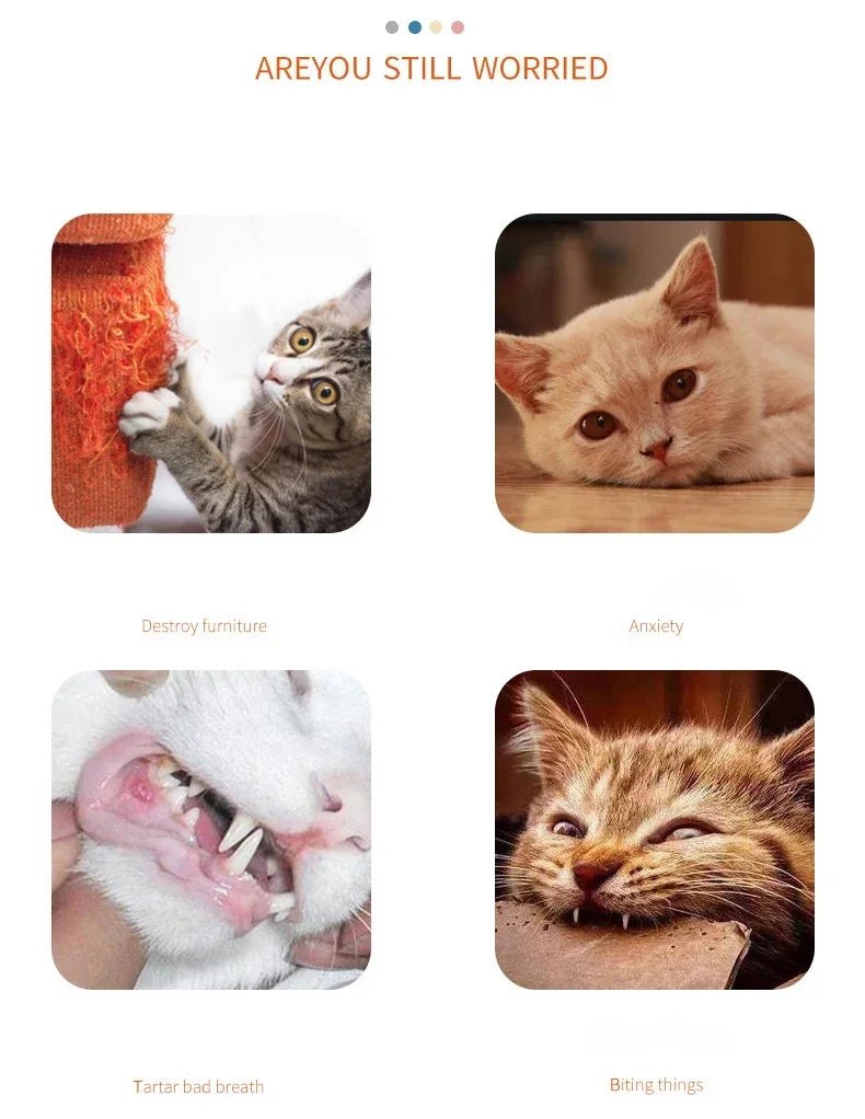 Interactive Coloured Ribbon Cat Toys Teasing Catd Stick Satin Ribbon Cat Stick Toys Kitten Playing Teaser Wand Toy Pet Supplies